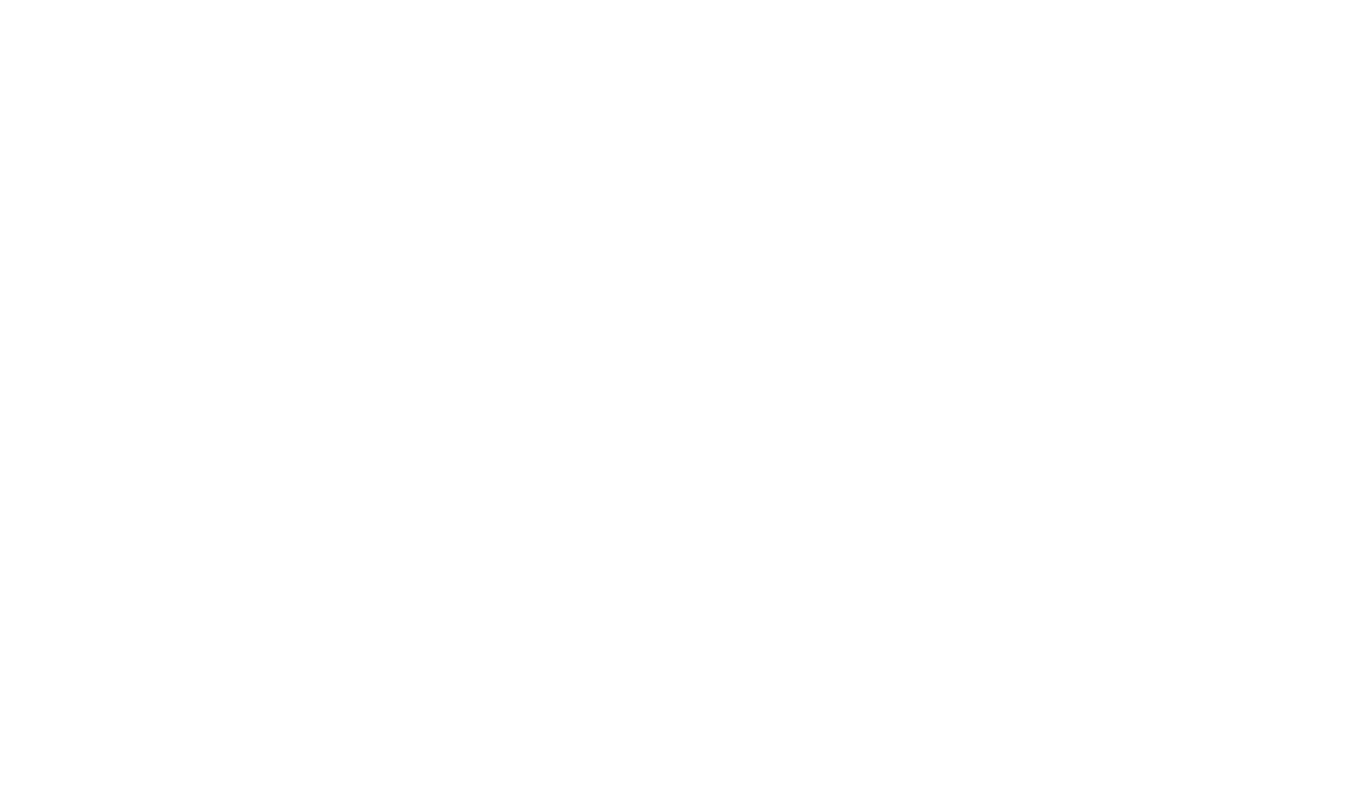 Kyle Newsom Aviation logo